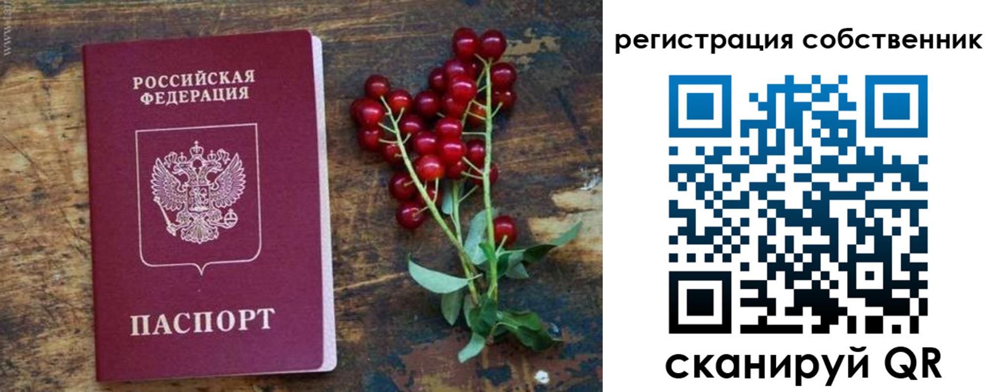 регистрация для дет. сада в Еманжелинске